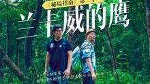 女生异地恋被当备胎的迹象是什么？异地恋被当备胎的表现是什么？