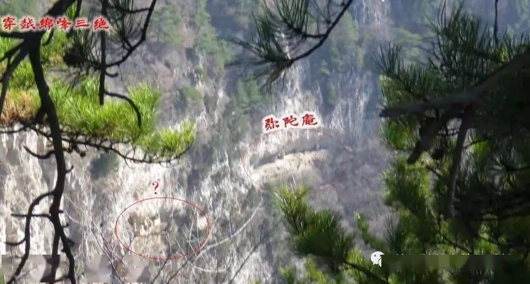 产业有势头  农户有奔头（乡村行  看振兴）