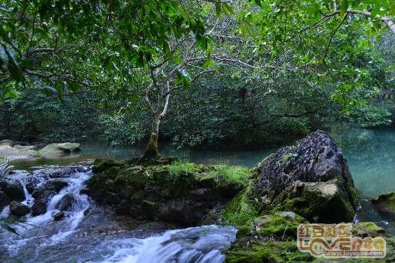 连花清瘟线上线下差价50元、布洛芬缺货，为何会造成这一现象？游戏画面