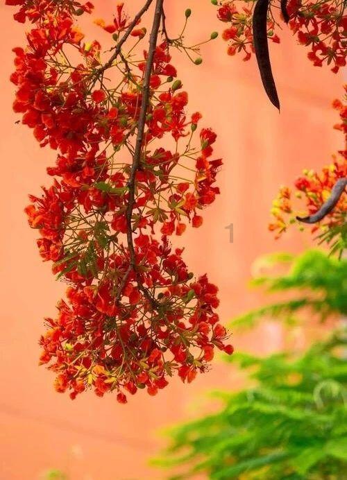 书法家送“福”写春联,将浓浓的年味送到企业和乡村
