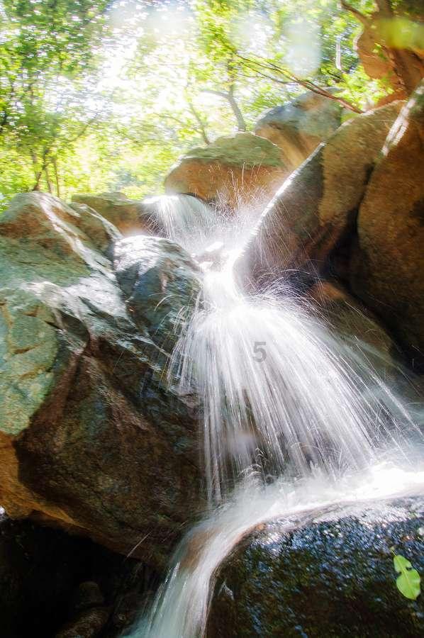 节前售票高峰已至 铁路12306累计发售春运车票6108万张